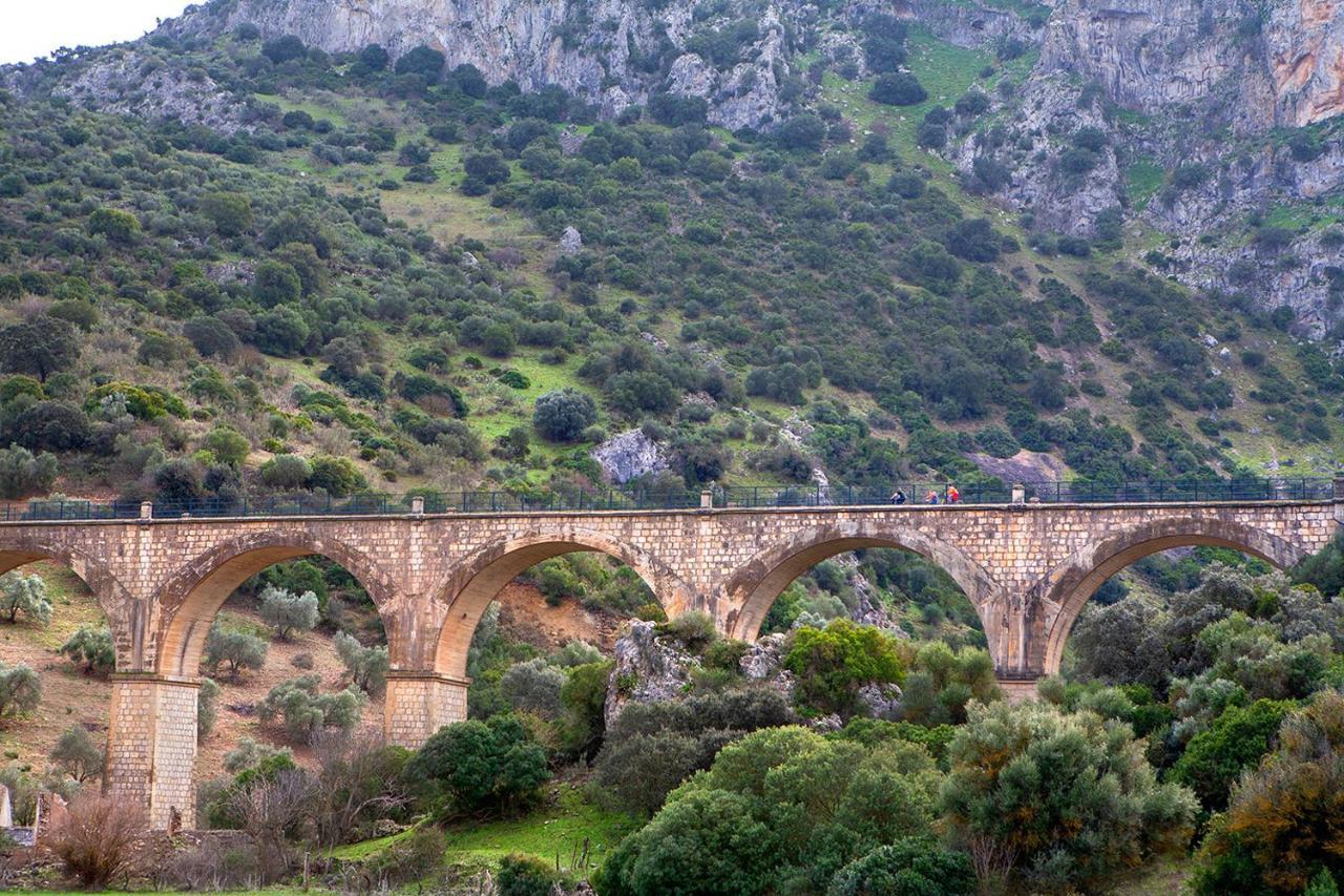 Casa Del Arco Villa Olvera Dış mekan fotoğraf