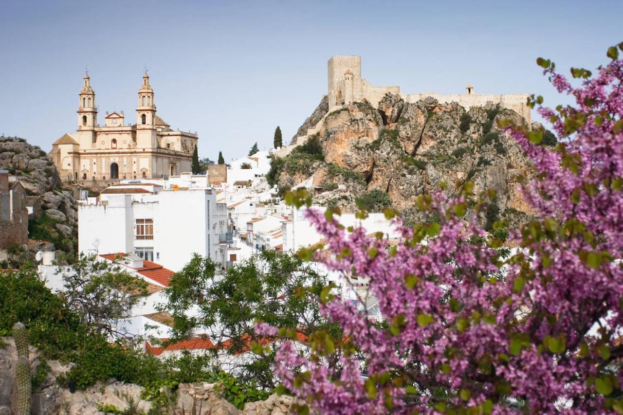 Casa Del Arco Villa Olvera Dış mekan fotoğraf